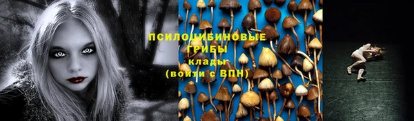 МДПВ Белокуриха
