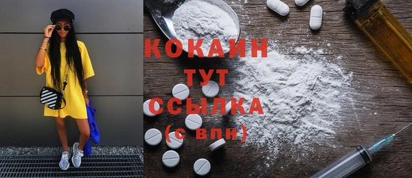 2c-b Богородицк