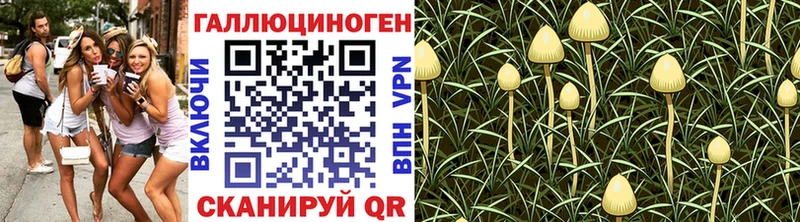 кракен сайт  мориарти официальный сайт  Кирс  Псилоцибиновые грибы Psilocybe  продажа наркотиков 